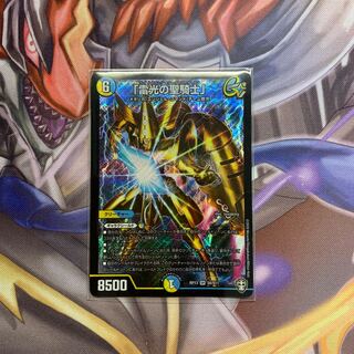 「雷光の聖騎士」