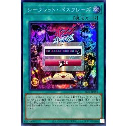 Secret Passphrase [Secret] {SLF1-JP084}