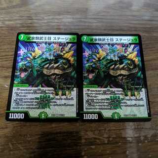 武家類武士目 ステージュラ