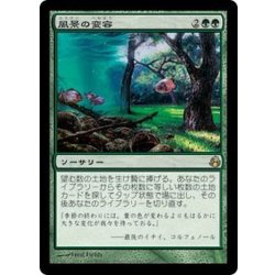 [EX+]Scapeshift/Scapeshift [Japanese] [MOR