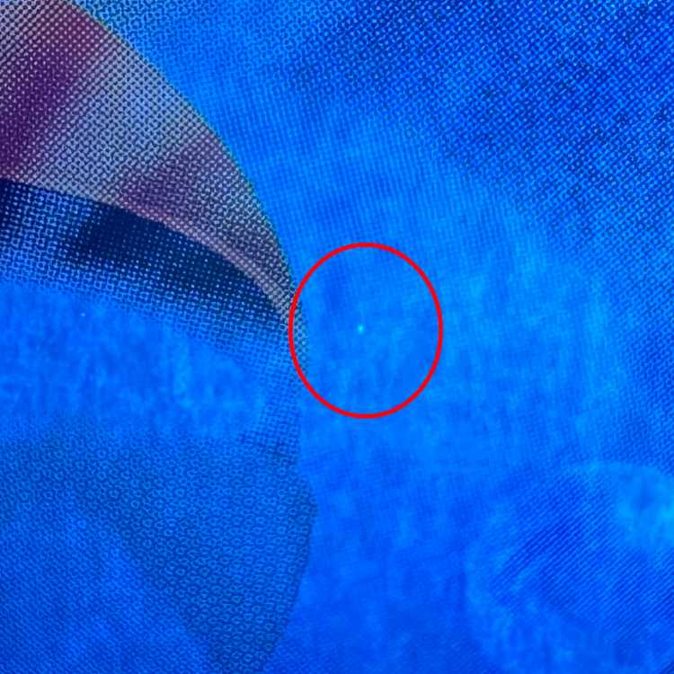 ナンジャモのハラバリーex SAR 125/100 SV9 ポケモンカードゲーム ポケカ