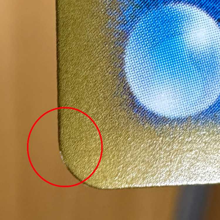 ナンジャモのハラバリーex SAR 125/100 SV9 ポケモンカードゲーム ポケカ