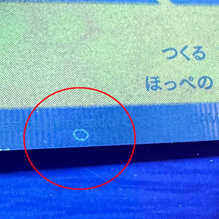 Pikachu Pokemon Center PROMO Promo 002/S-P Pokemon Card Game Pokemon Card Game