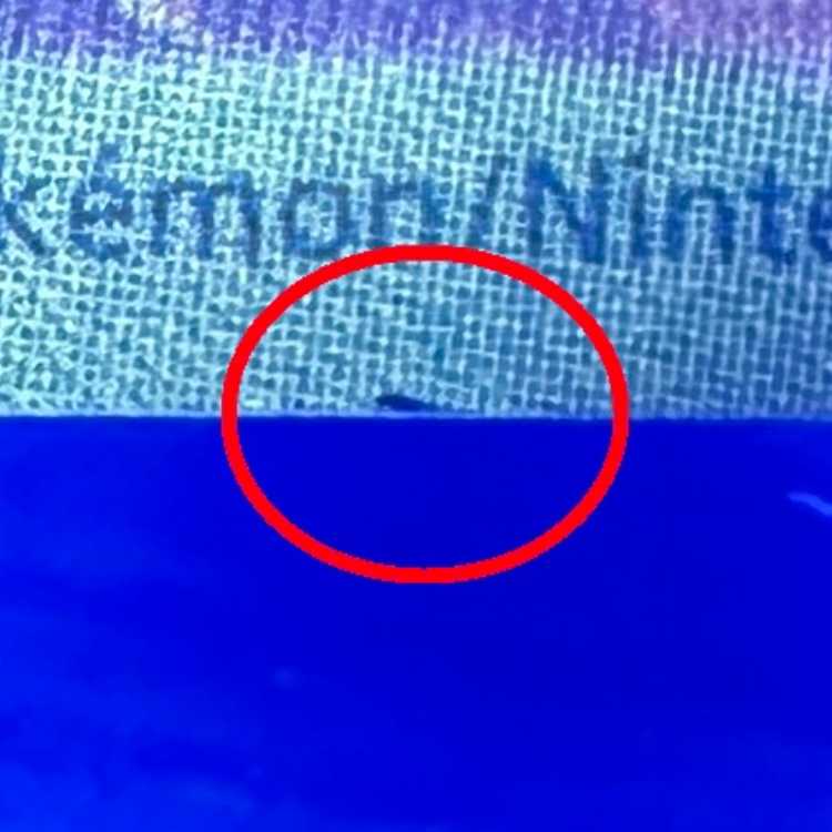 ArceusVSTAR UR 262/172 S12a Pokémon Card Game Pokémon Card Game