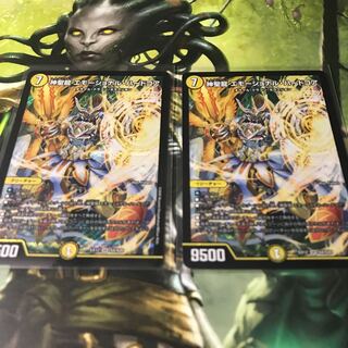 神聖龍 エモーショナル・ハードコア　2枚セット