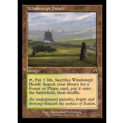 (FOIL)(old frame specs) Windswept Heath/Windswept Heath 《English》【MH3】.