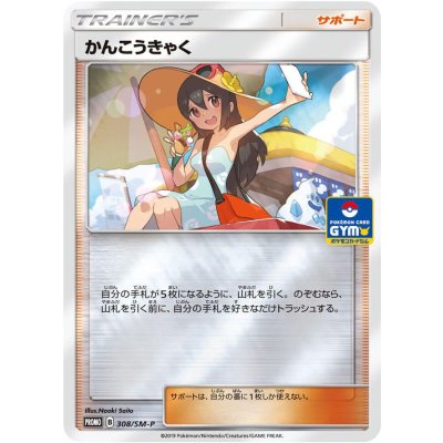 [State A-] Sightseer [P] {308/SM-P}