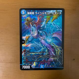 海姫龍 ライベルモット・ビターズ SR