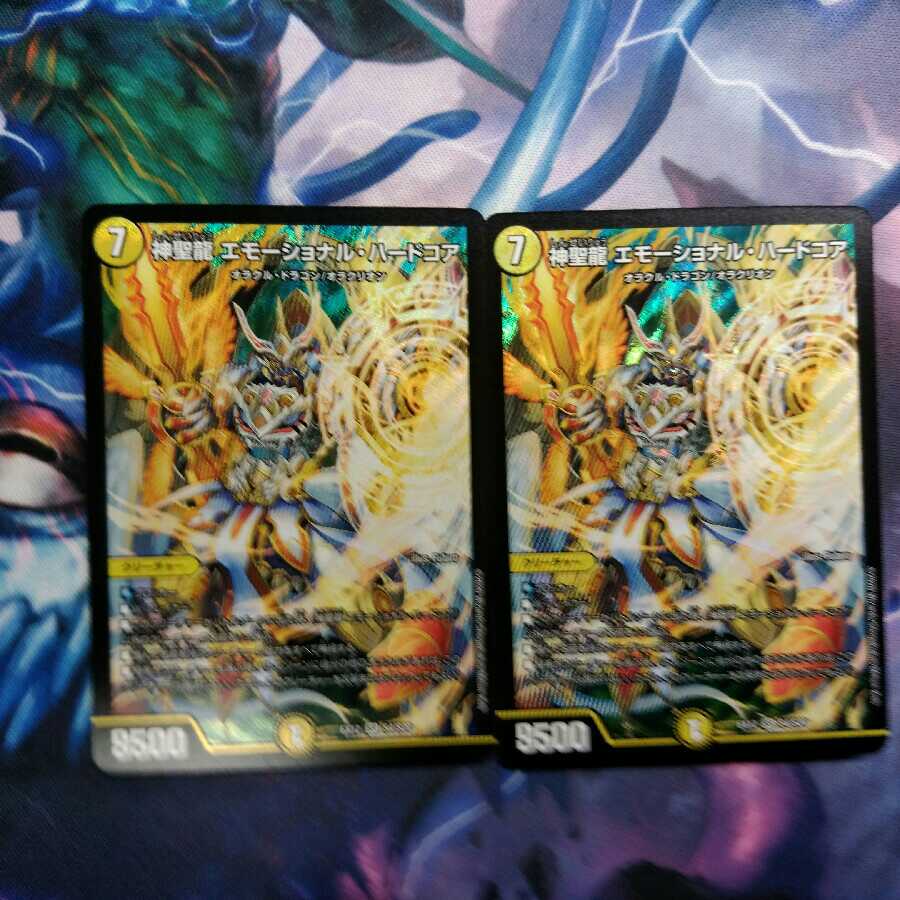 神聖龍 エモーショナル・ハードコア　2枚