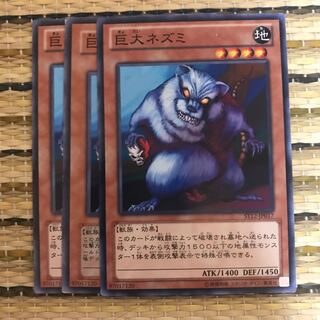 マドレース 巨大ネズミ N