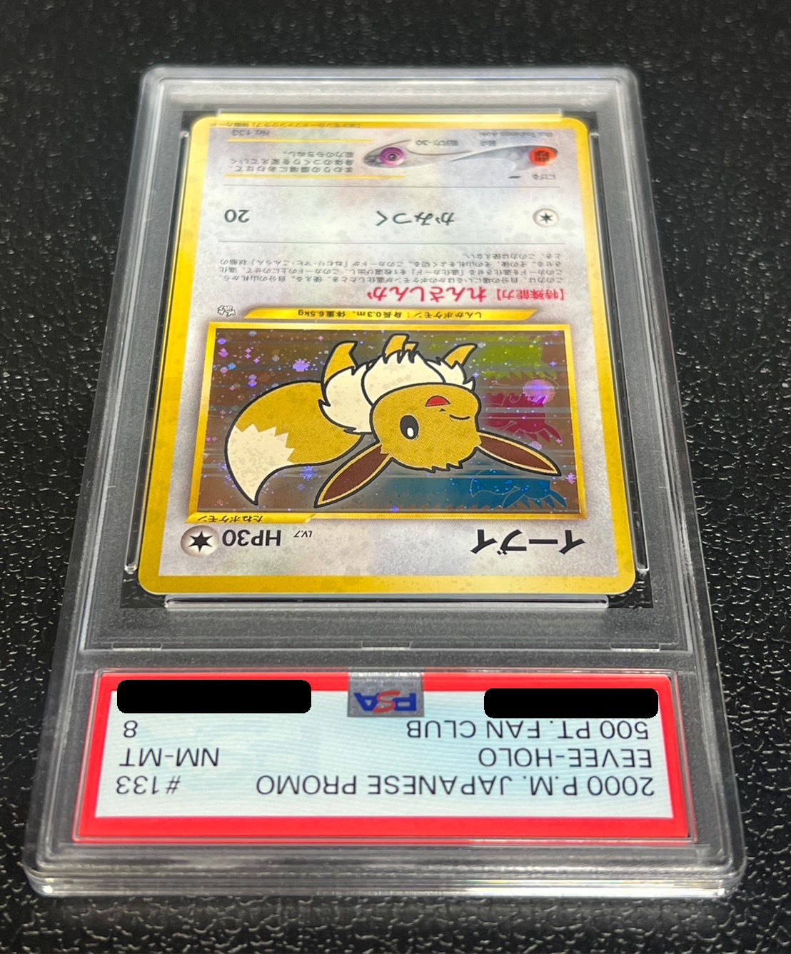 イーブイ_「ポケモンカードファンクラブ」 PSA8 PSA8鑑定済〕イーブイ(ポケモンカードファンクラブ)【P】{旧裏}