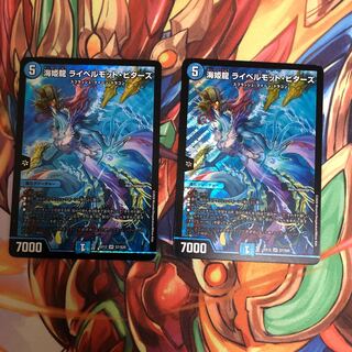 海姫龍 ライベルモット・ビターズ