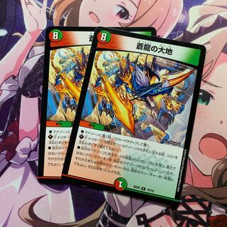 蒼龍の大地 2枚