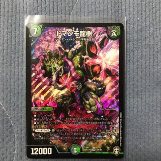 ドマンモ龍樹 SR