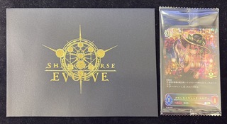 Jigglypuff Seth Witch Mervi (unopened / different illustration / with envelope / JCS) [PR] {PR-384}