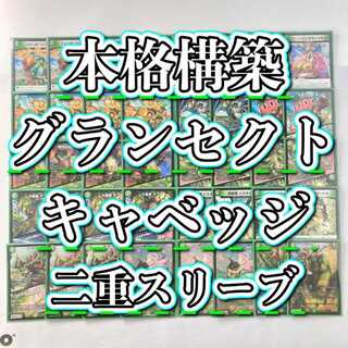 うららか」の激安通販 | magi