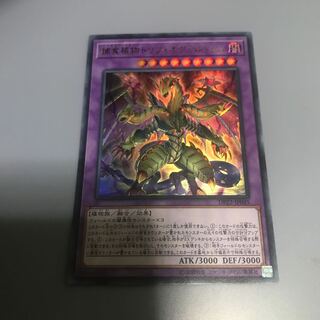 捕食植物トリフィオヴェルトゥム UR 1枚