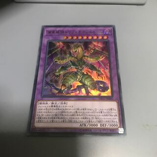 捕食植物トリフィオヴェルトゥム UR 1枚