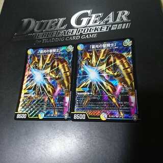 「雷光の聖騎士」