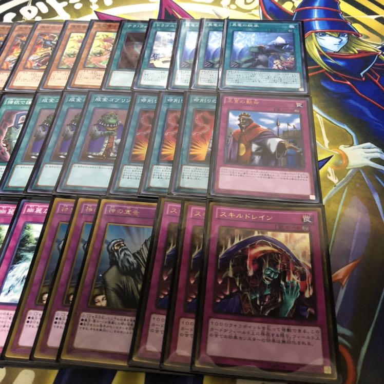 命削り真竜　デッキ　メイン40枚スリーブ付き