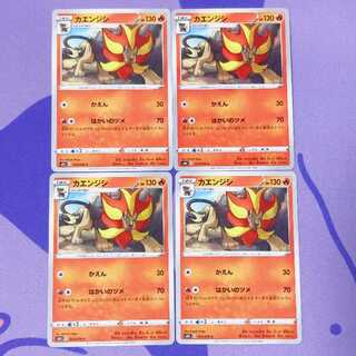 カエンジシ C 013/070