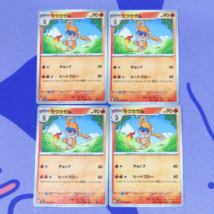 モウカザル C 016/066 1枚