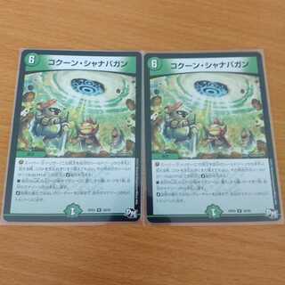 コクーン・シャナバガン R