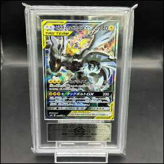 ゼクロム AR」の激安通販 | magi