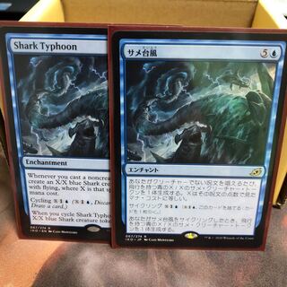 ［ドスさん専用］サメ台風二枚セット