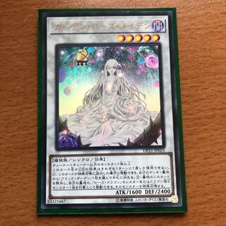 ガーデン・ローズ・メイデン UR