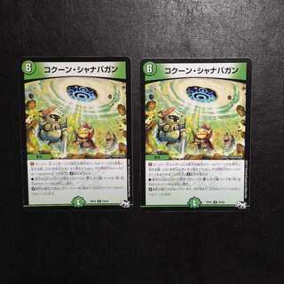 コクーン・シャナバガン2枚セット