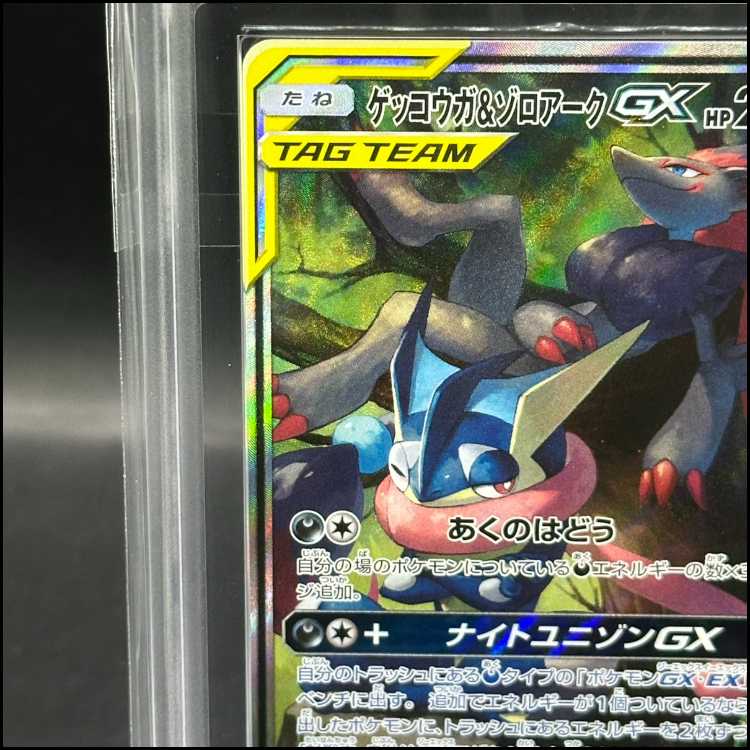 ARS10] Greninja & ZoroarkGX SR 059/055