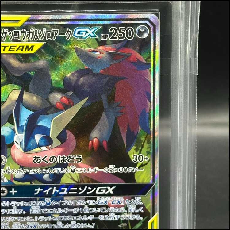 ARS10] Greninja & ZoroarkGX SR 059/055