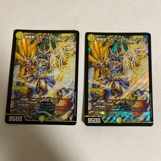 神聖龍 エモーショナル・ハードコア　2枚