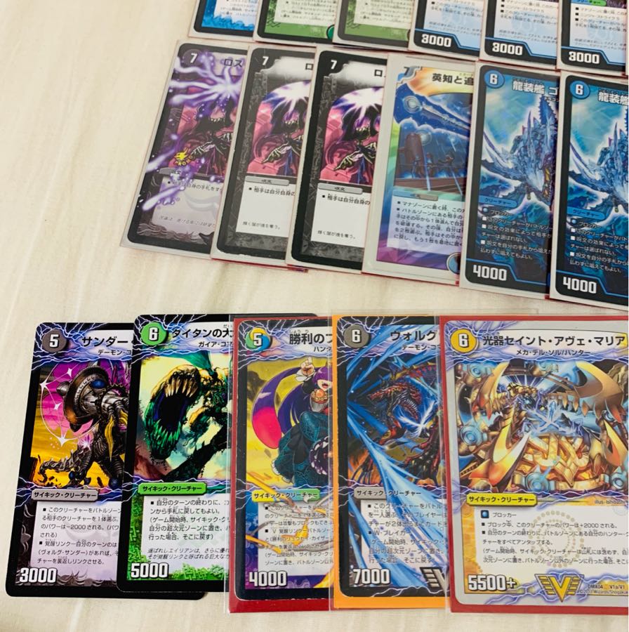 アナカラーシャコガイル