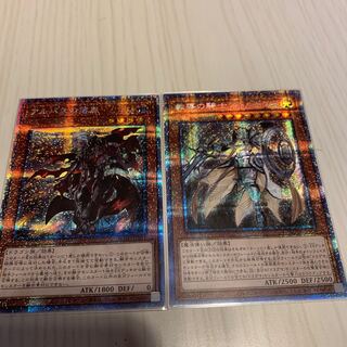 教導の騎士フルルドリス PSE アルバスの落胤　PSE 美品