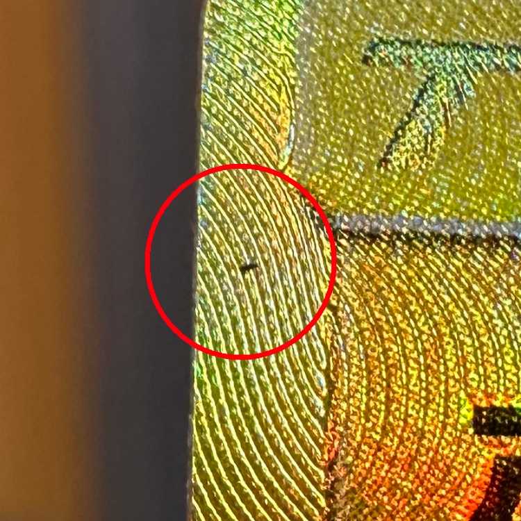 Switch UR 072/060 SM1M Pokémon Card Game Pokéka