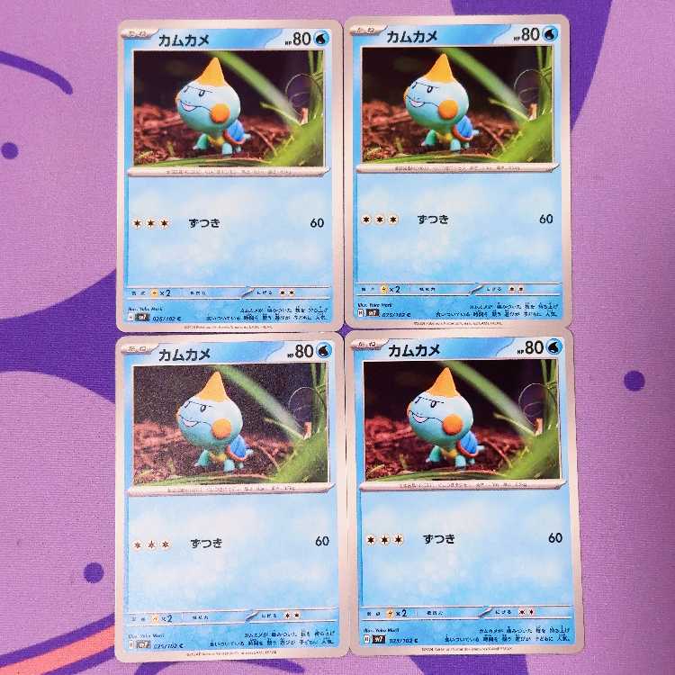 カムカメ C 025/102