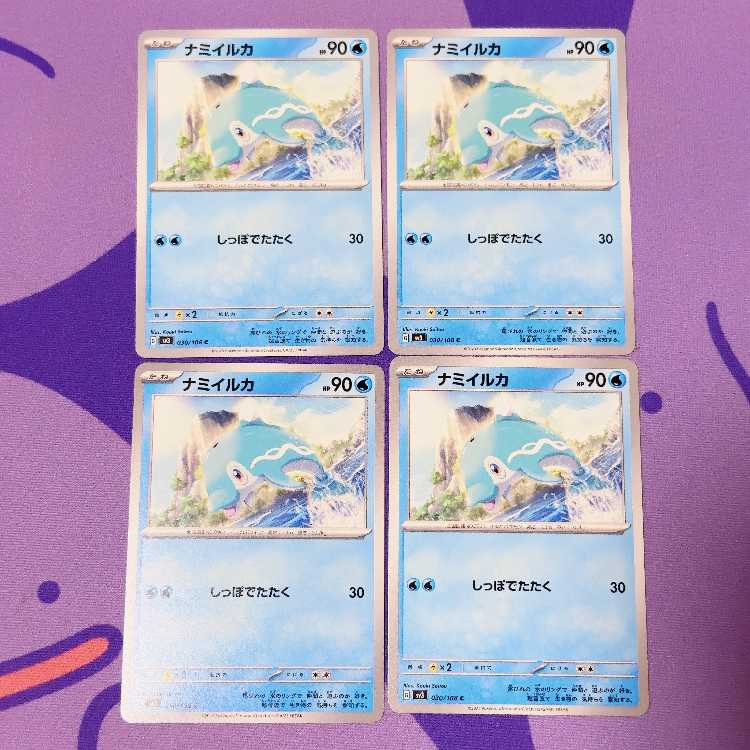 ナミイルカ C 030/108