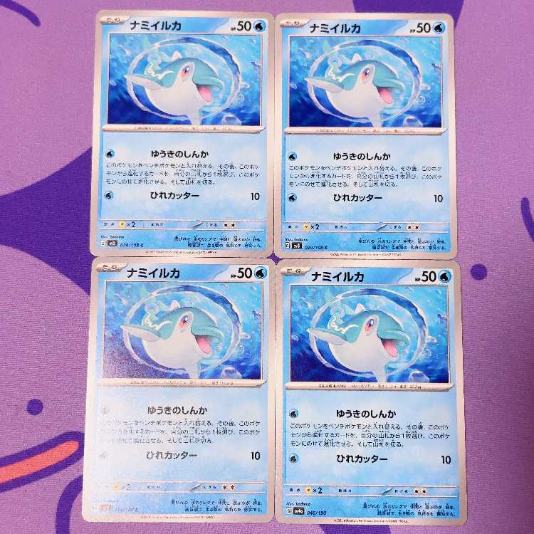 Namibian dolphin C 029/108