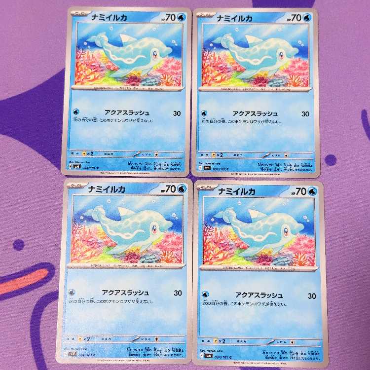 ナミイルカ C 034/101