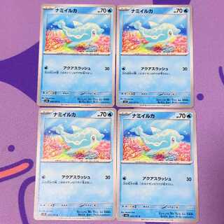 ナミイルカ C 034/101