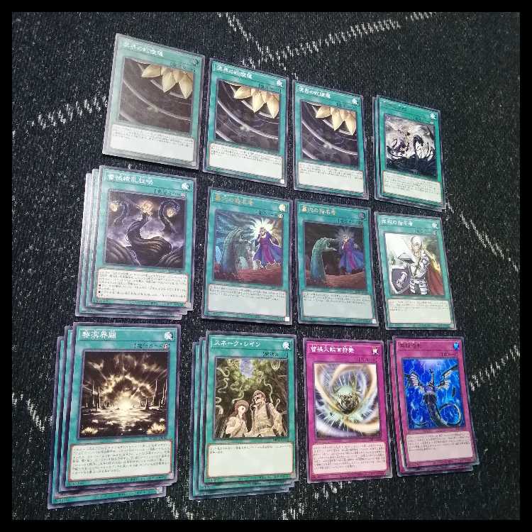 遊戯王　溟界　蕾禍　デッキ　ナイア　ヌル　溟界の蛇睡蓮　[04199]