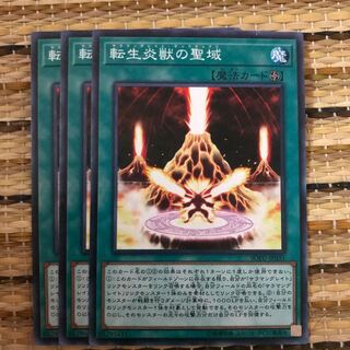 マドレース 転生炎獣の聖域 N