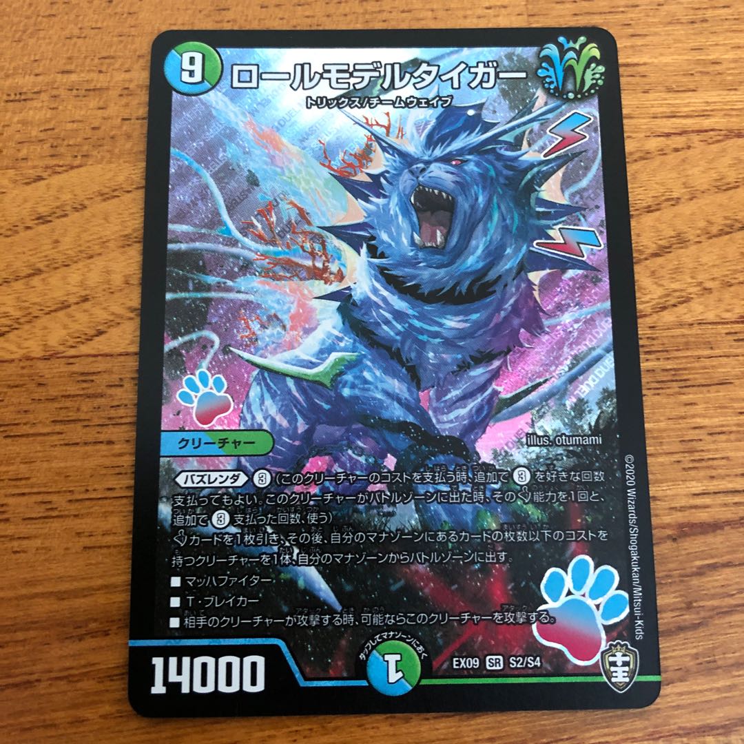 ロールモデルタイガー