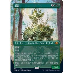 (FOIL)(Full Art)Endurance/Endurance《Japanese》【MH2】.