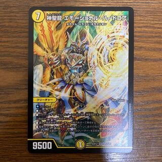 神聖龍 エモーショナル・ハードコア