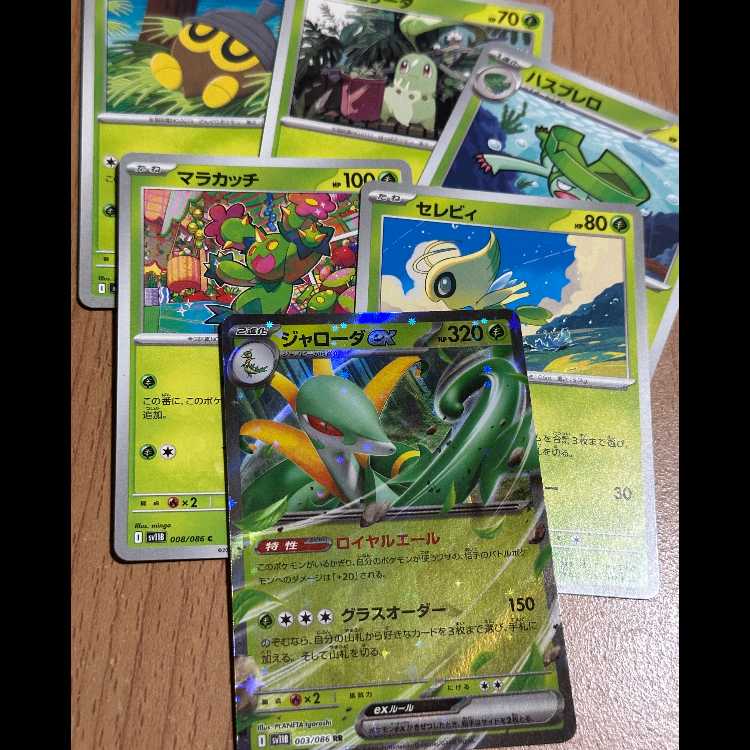 RR ジャローダex+他5枚 草 デッキパーツ