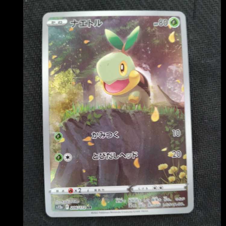 Turtwig AR 206/172