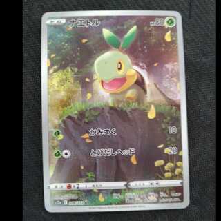 Turtwig AR 206/172